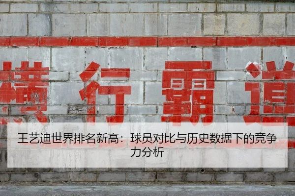 王艺迪世界排名新高：球员对比与历史数据下的竞争力分析